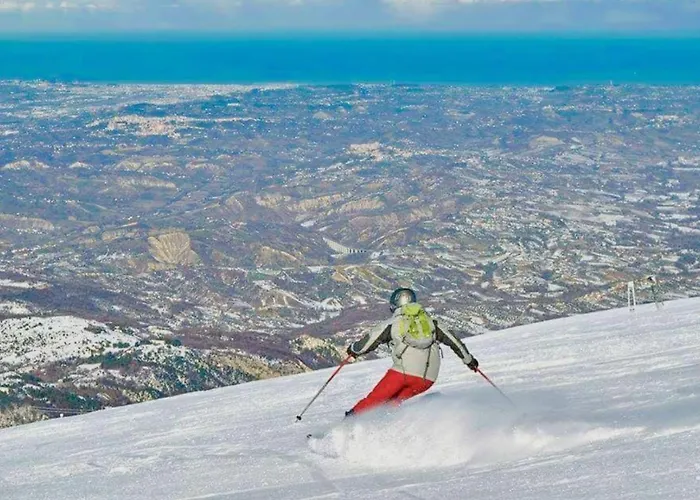 펜션 Casa Elegante In Centro A *